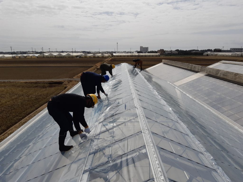 【屋根面・天窓】